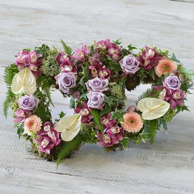 A variety of potted sympathy plants (including a large Peace Lily and a small white potted orchid) arranged neatly on a polished wooden table in a sunlit, comforting home setting.